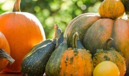 吃甜梨瓜会升血糖吗,甜蜜与健康的平衡之道