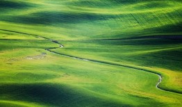 草原的吃瓜群众,见证草原生活的点点滴滴