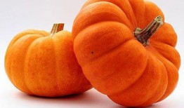 古南瓜吃瓜,穿越时空的吃瓜之旅