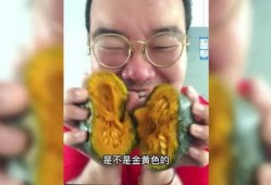 吃瓜博主吃自己的瓜,吃瓜博主的真实瓜田之旅