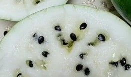 兰州兰山吃瓜,兰州兰山吃瓜，尽享清凉时光