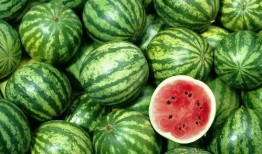 缅甸开干边界吃瓜,一场独特的“吃瓜”盛宴