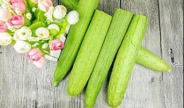 吃瓜要带花,品味生活百态