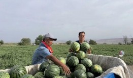 大梁讲吃瓜,揭秘娱乐圈幕后故事