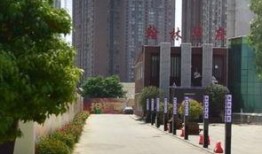 曹县翰林华府视频吃瓜,一场视频吃瓜引发的社区热议