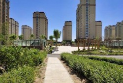 曹县翰林华府视频吃瓜,一场视频吃瓜引发的社区热议