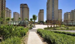 曹县翰林华府视频吃瓜,一场视频吃瓜引发的社区热议