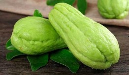 佛手瓜可以吃吗怎么吃,佛手瓜的食用方法与美味佳肴