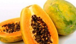 梦见吃娃娃瓜,揭秘“吃娃娃瓜”的神秘寓意