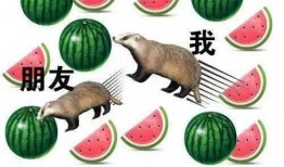 吃瓜的吃怎么写,揭秘“吃瓜群众”的趣味生活