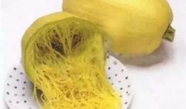 水果天鹅瓜怎么吃,探索水果天鹅瓜的多彩吃法