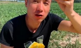 吃瓜网真的吗,真相还是谣言？