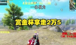 兰博吃瓜一休,揭秘娱乐圈幕后故事