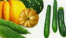 牛背山吃瓜,共享田园生活美好时光