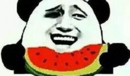 吃瓜你吃芯,探寻瓜果美味背后的秘密