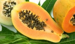 孕妇梦到吃土瓜,土瓜预示着什么？