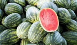 拍拍瓜怎么吃,轻松解锁美味新体验