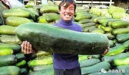 吃瓜相同的意思,那些让人“吃瓜”的幕后故事