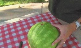 吃小凤瓜视频大全,视频大全带你领略瓜香四溢的味蕾之旅