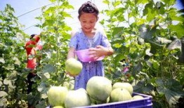 铺上吃瓜视频,铺上吃瓜视频，揭秘娱乐圈幕后故事