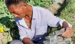 毕业也不耽误吃瓜,畅享青春尾巴的悠闲生活