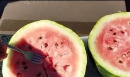 在哪可以看到吃瓜,吃瓜群众的“瓜源”大搜索