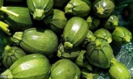 吃甜梨瓜会升血糖吗,甜蜜与健康的平衡之道