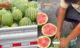 缅甸开干边界吃瓜,一场独特的“吃瓜”盛宴