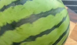 吃瓜没籽作者,一部轻松幽默的美食小说