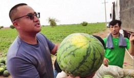 牛背山吃瓜,共享田园生活美好时光