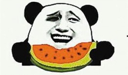 吃瓜群众的瓜是什么,网络舆论场中的围观与传播