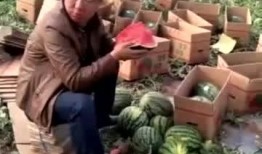 魏县新吃瓜事件,揭秘背后真相与网络舆论风暴