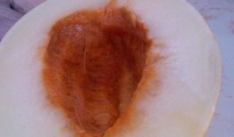 伊丽莎白瓜婴儿可以吃吗,婴儿能否安全食用及营养益处解析